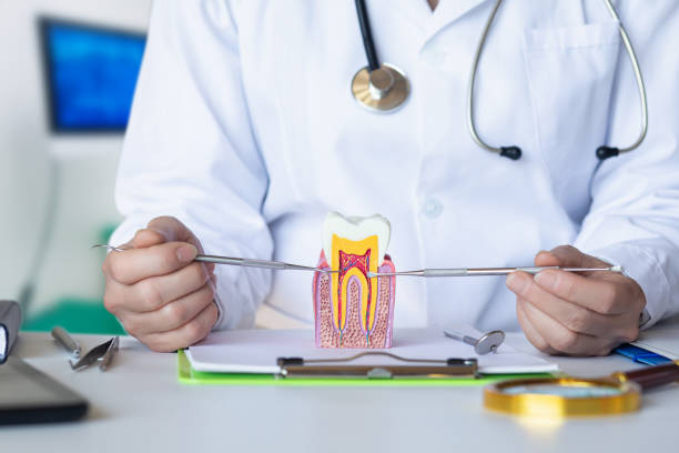 Best Cracked Tooth Emergency Dentist  in Groveland, ID